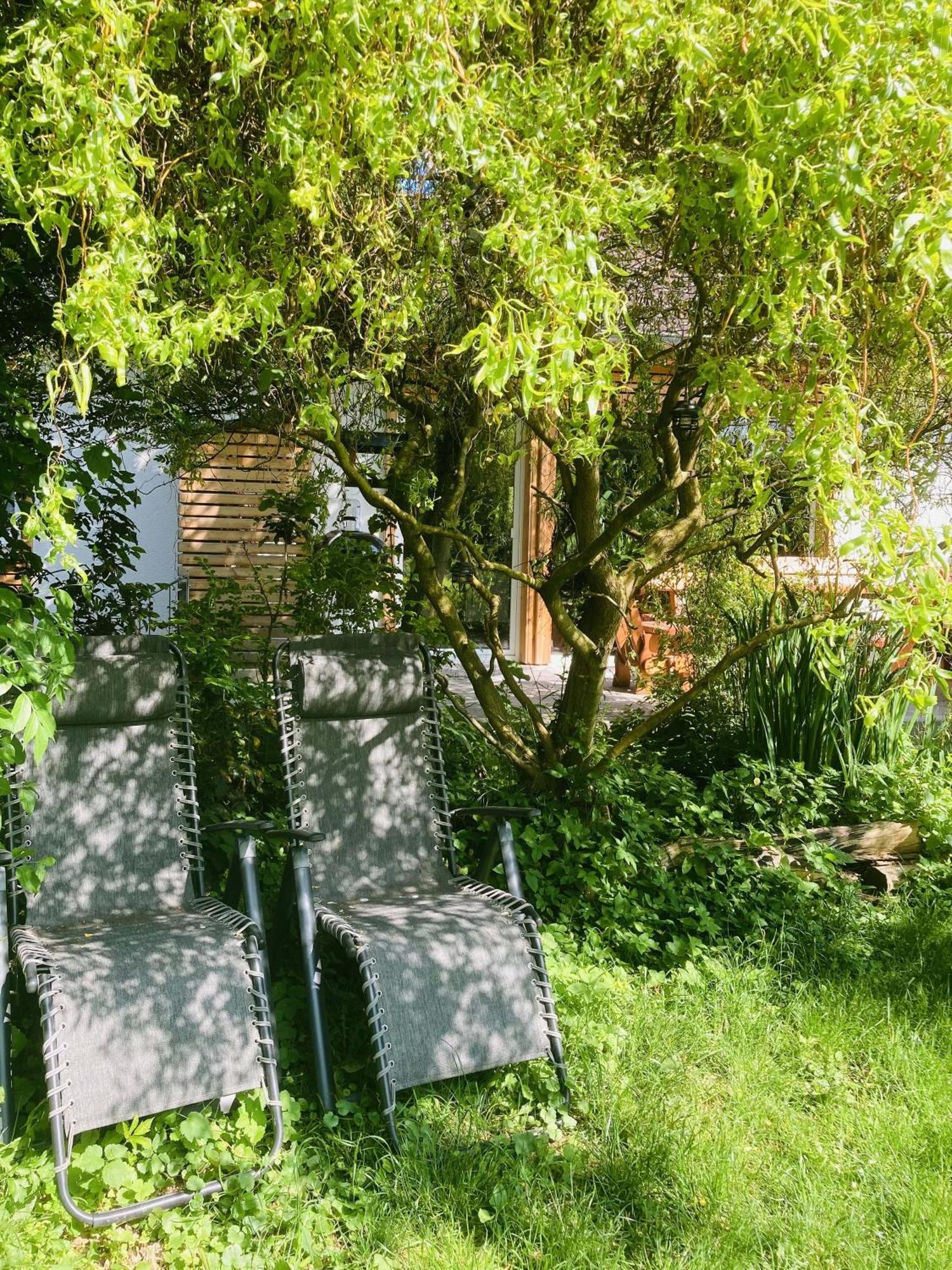 Ferienhaus Urwald هوفغايزمار المظهر الخارجي الصورة