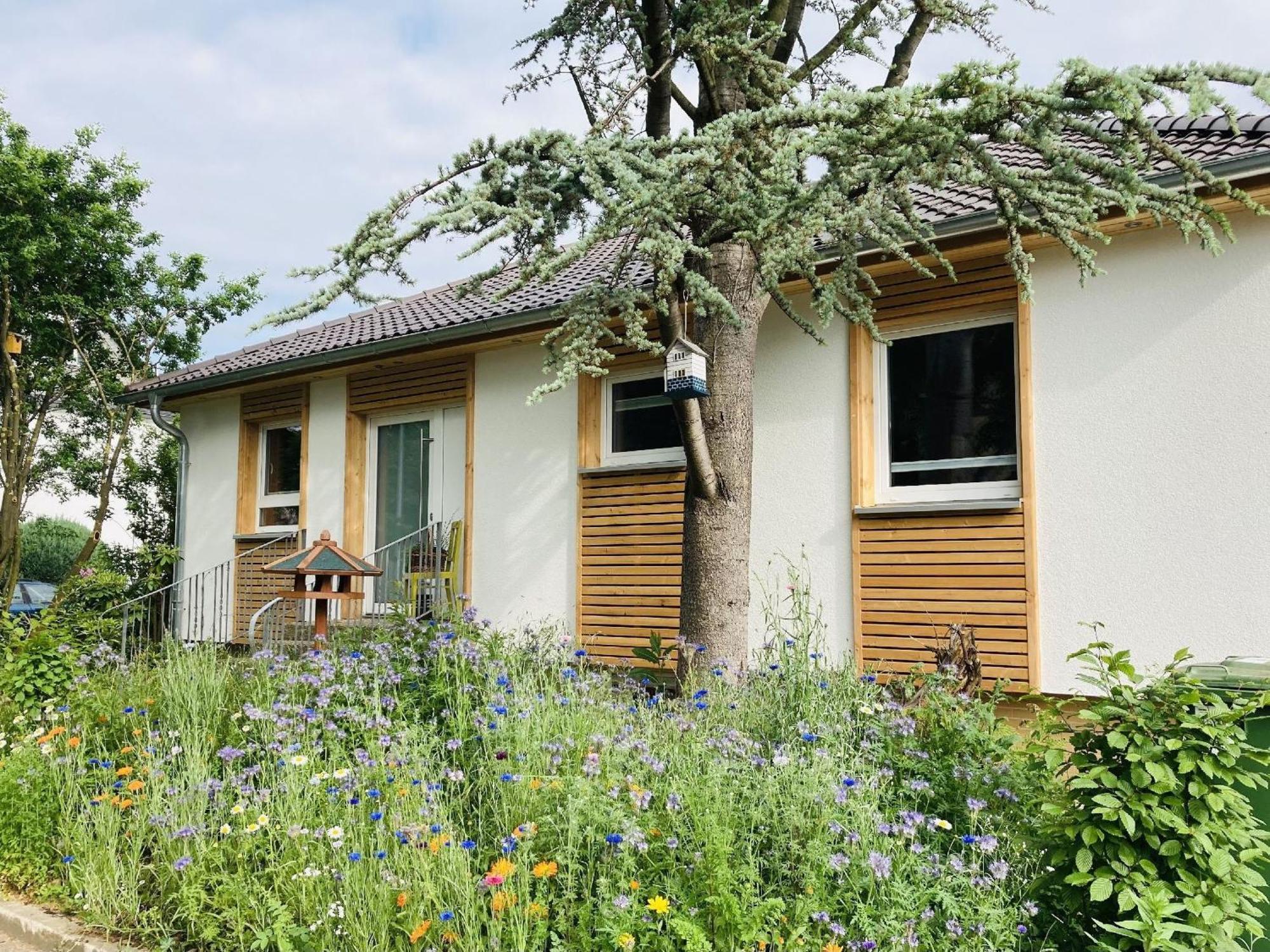 Ferienhaus Urwald هوفغايزمار المظهر الخارجي الصورة